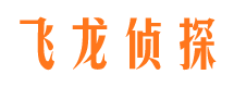 和平侦探